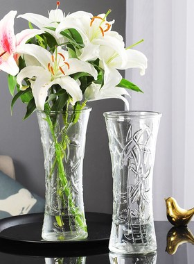 透明水培大号玻璃花瓶富贵竹百合鲜花干花插花瓶办公客厅装饰摆件