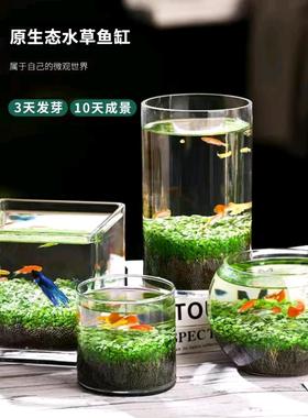 桌面鱼缸生态玻璃瓶水草种子真植物种籽造景盆栽套餐水培装饰草缸
