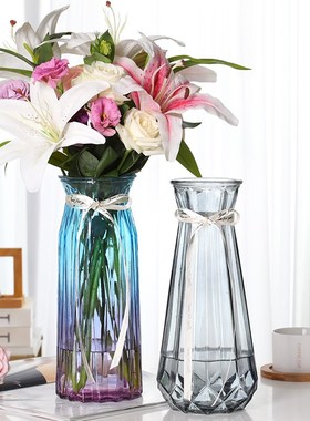 【二件套】特大号玻璃花瓶透明水培富贵竹百合鲜花插花瓶客厅摆件