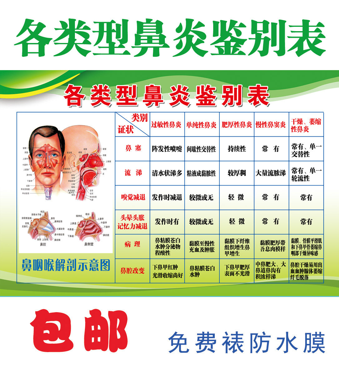 医院文化耳鼻喉鼻炎治疗症状挂图《各类型鼻炎鉴别表》海报贴纸
