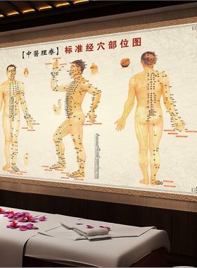 针灸经络足部身体保健按摩穴位图