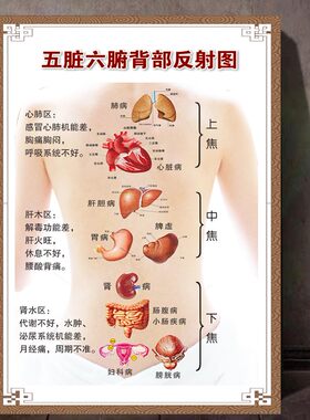 中医五脏六腑背部反射区挂图海报