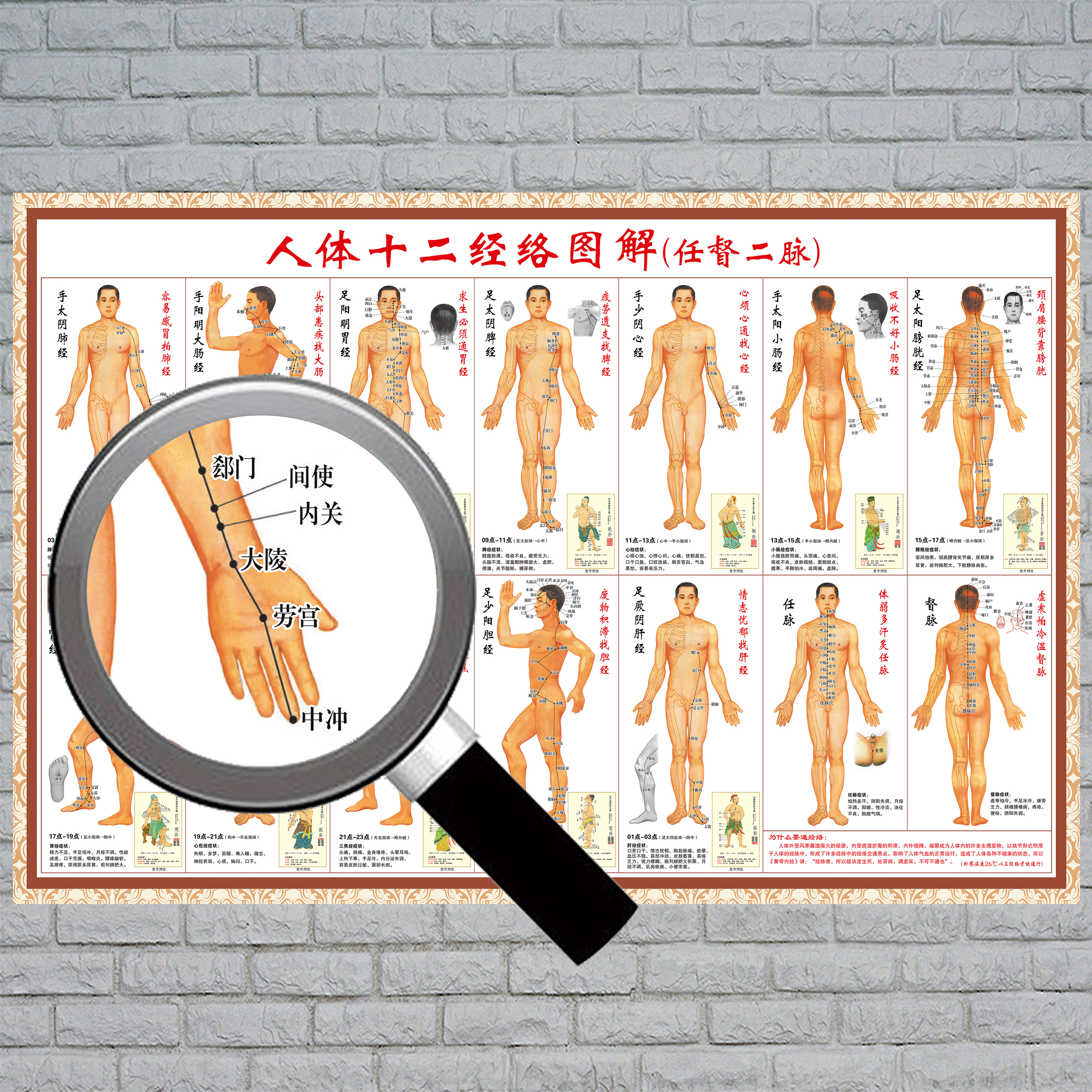 人体十二12经络穴位图解任督二脉中医养生保健穴位挂图海报贴写真