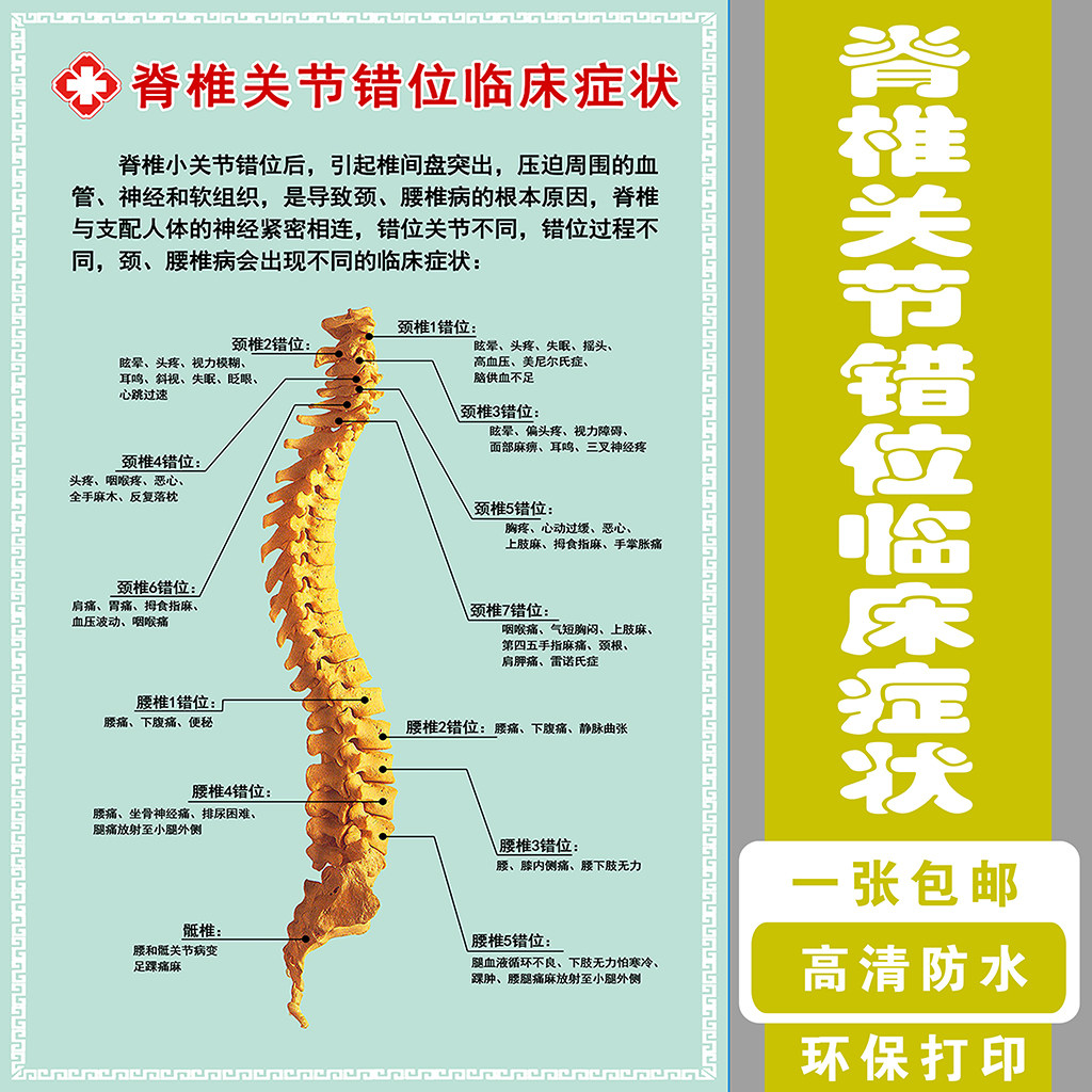 脊椎关节错位临床症状医学骨科挂图人体骨骼结构展板人体解剖海报