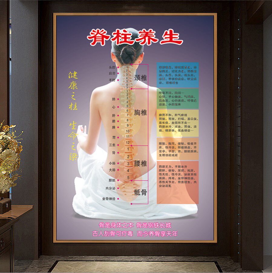 中医脊柱养生肩颈脊椎保养美容拔罐刮痧精油推拿按摩艾灸海报挂图