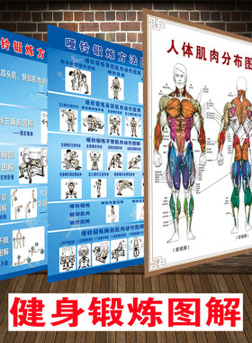 肌肉健身锻炼方法海报挂图