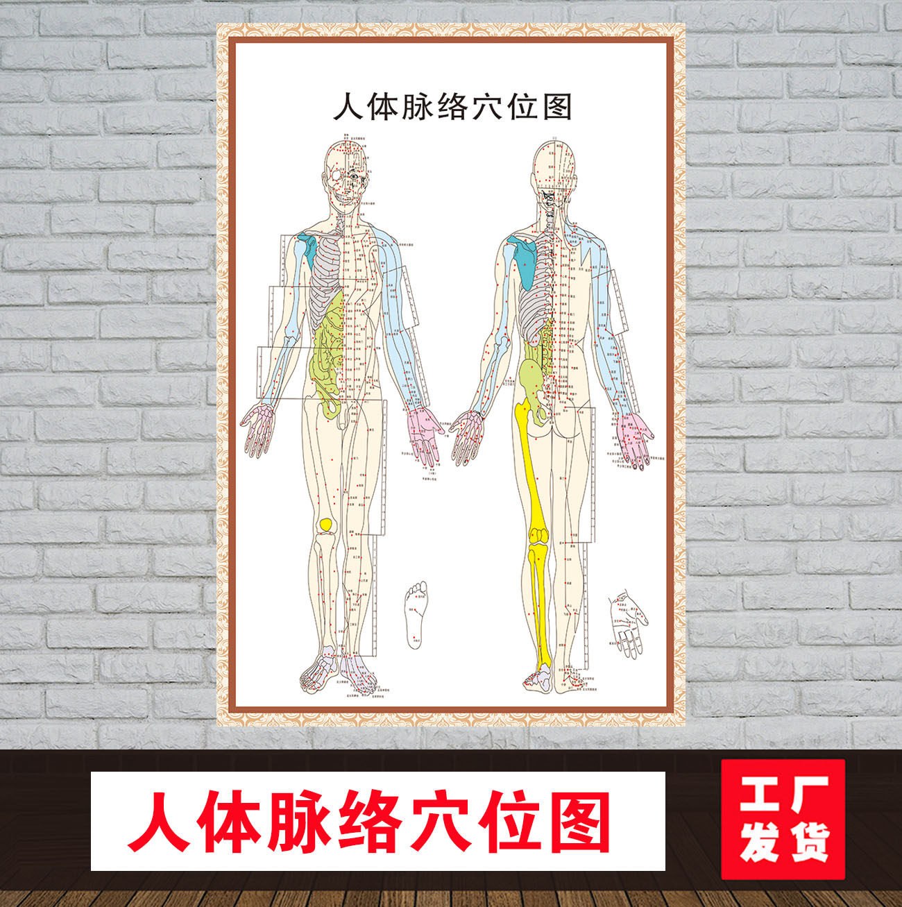人体十二脉络穴位示意图中医挂图中医养生保健穴位挂图海报墙贴纸