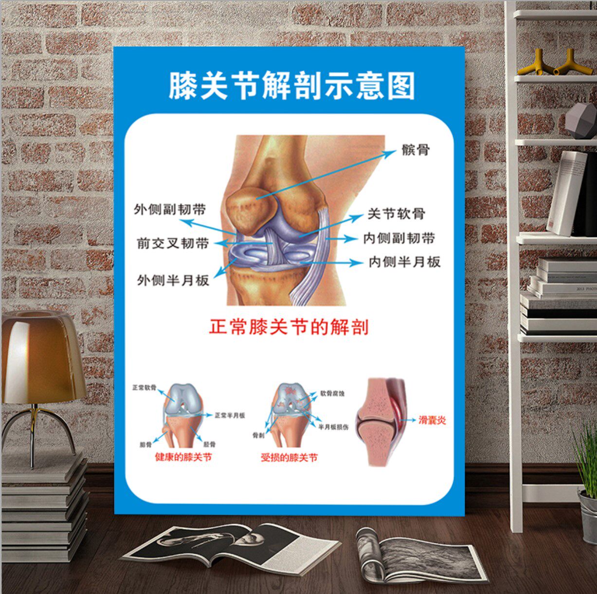 医学关节解剖图壁画膝关节解剖挂图骨科宣传示意图健康海报墙贴画
