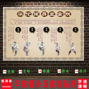 华佗健身五禽戏挂图中医养生海报文化宣传展板养生图片挂画养生馆