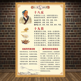 中医文化挂图 十八反十九畏海报中药配伍禁忌宣传画 医院药房挂画
