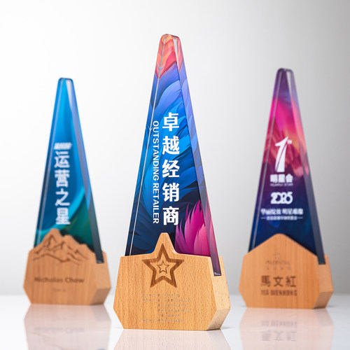 创意木质奖杯定制定做高档水晶奖牌制作年会优秀员工表彰纪念嘉奖