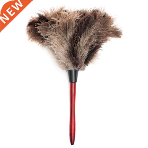 Feather Dusters Ostrich Duster With Wood Long Handle Brush E