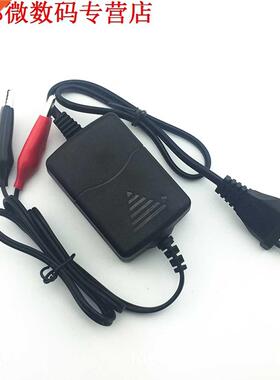 Solid bouw Auto Truck Motorcycle 12 V Smart Compact Acculad