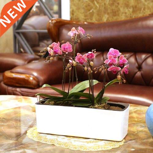 Rectangular Self-watering Plastic Pot Planter for Plants