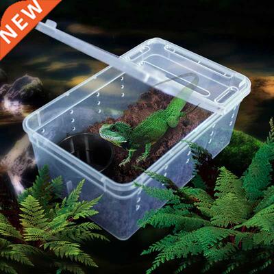Reptile Insert Box Breathable Live Breeding Feeding Case