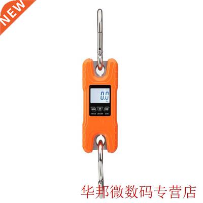 500kg 100g Crane Scale Mini Digital Kitchen Tool Weight Bala