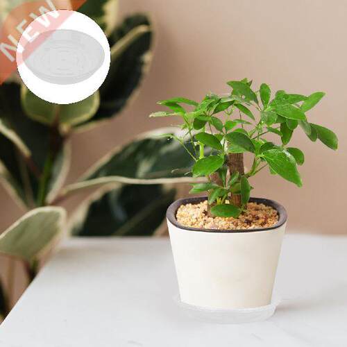 Plant Tray Trays Pot Saucer Flowerpot Water Drip Clear Pots