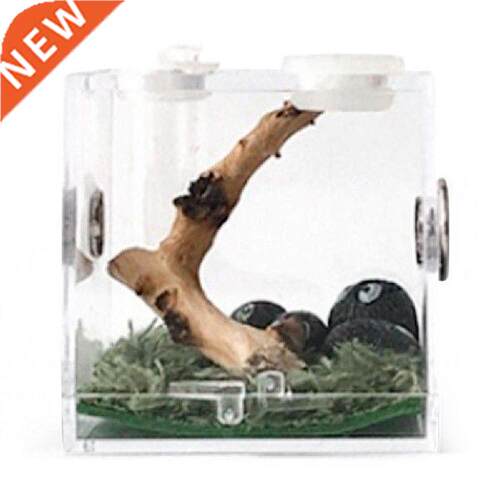 Clear Insect Feeding Box - Transparent Acrylic Reptile