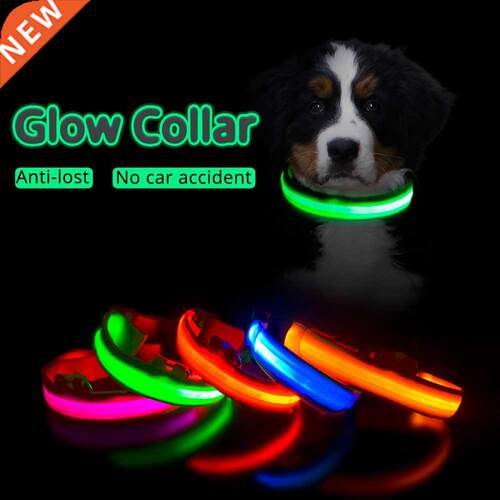 USB Charging/Battery replacement Led Dog Collar Anti-Lost Co