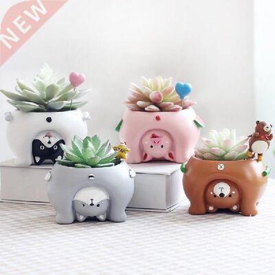 Fleshy plant pots ornents personalized creative animal
