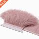 Selvage Ostrch Rbbon Plumes Trm Feathers Meter