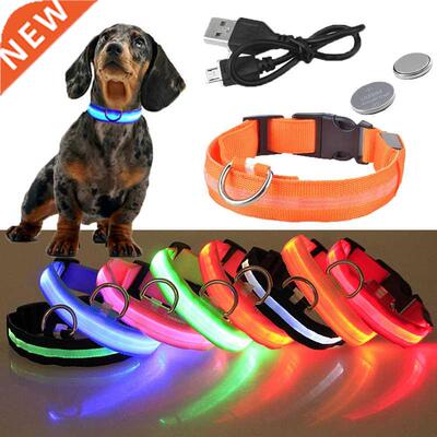 USB Rechargeable Pet Dog LED Glowing Collar Luminous Flashi