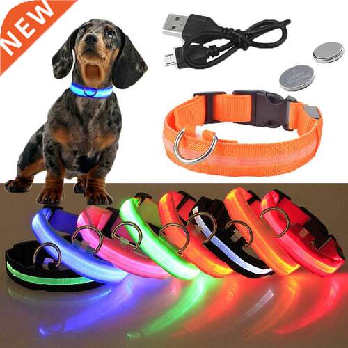 USB Rechargeable Pet Dog LED Glowing Collar Luminous Flashi