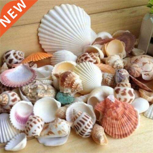 100g Beach SeaShells Mix Sea Shells Shell Craft SeaShell Aqu