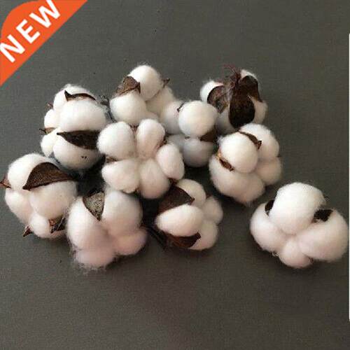 New 10PCS/Pack artificial flower single branch simulation
