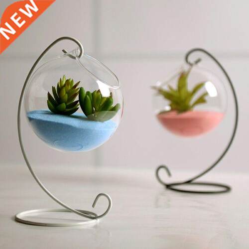 Hanging Ball Glass Flower Planter Vase Terrarium Container
