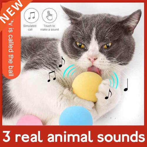 Smart Cat Toy Interactive Ball Catnip Cat Training Toy Pet P