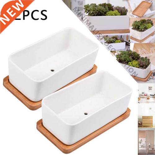 2 Sets Succulent Plant Pots White Ceramic Flower Cactus