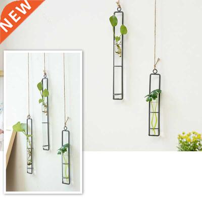 Iron Art Flower Vase  Hydroponic Plants Floral Glass Test