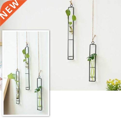Iron Art Flower Vase  Hydroponic Plants Floral Glass Test