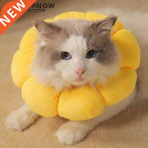 Sunflower Cat Elizabeth Ring After Surgery Anti-Bite