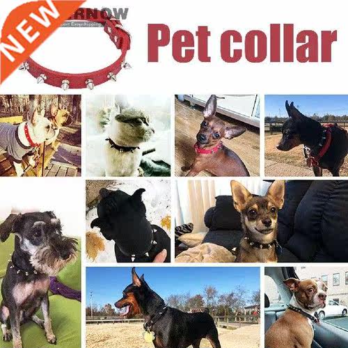 Adjustable Leather Pet Dog Collars Fashion Rivet Anti-Bite