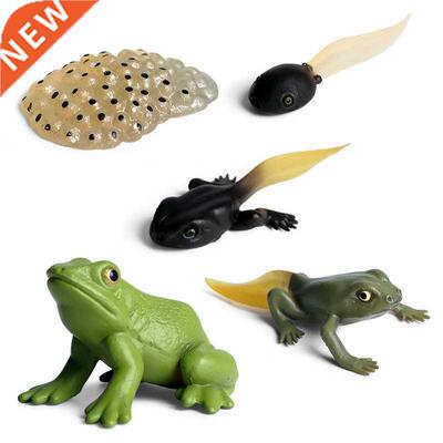 Smulaton Anmal nsects Marne lfe Model Acton Mn Frog