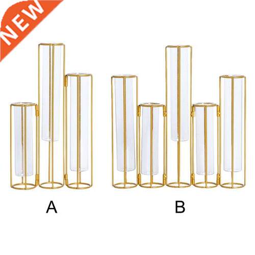 Glass Tube Vase Hydroponic Desktop Plant Container and Flo