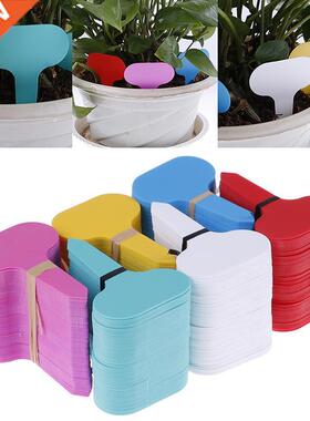 100pcs Garden Labels Plant Classification Sorting Sign Tag