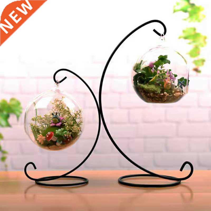 Flower Plant Clear Glass Vase Hanging Planter Terrarium