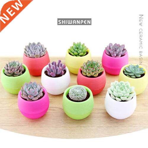 Home Flower Pots Planters For Succulents Indoor Herb Mini