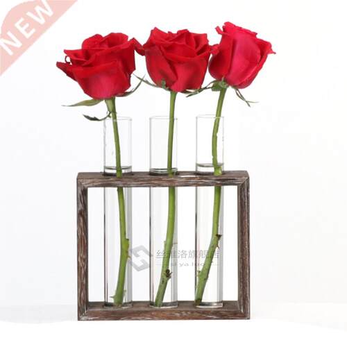 *Valentine's Day Gift Glass Test Tube Vase Flower Pots Plant