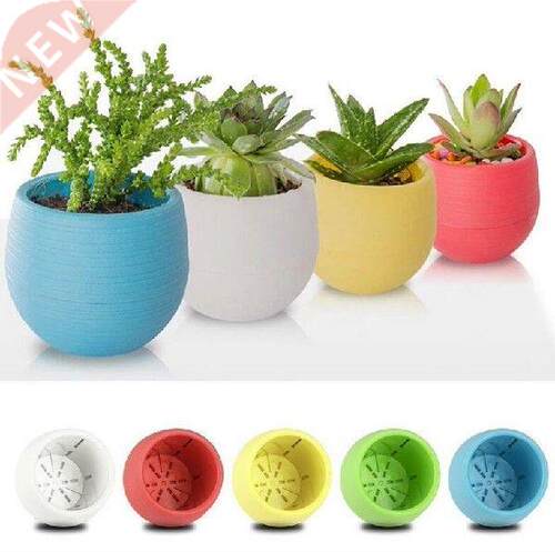 1PC Garden Supplies Plastic Flower Pot Succulent Plant
