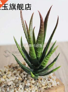 Artificial flower plastic plant fake aloe vera family garden