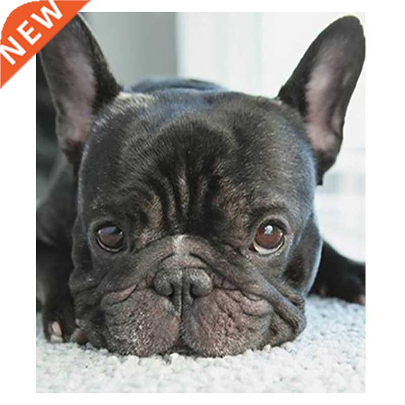 5D Diy Diamond Painting Cross Stitch Small Black Dog Heads