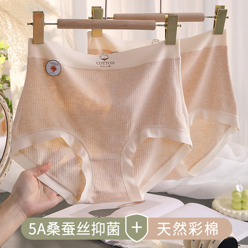 生态纯棉大码内裤女胖mm彩棉高腰