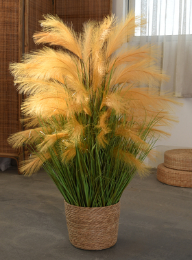 芈阳芦苇服装店软装狗尾草