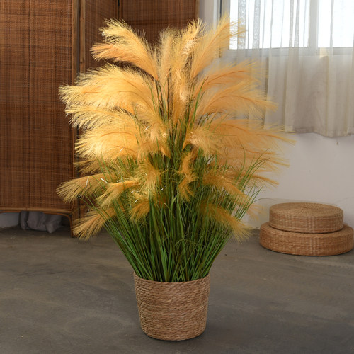 芈阳芦苇服装店软装狗尾草