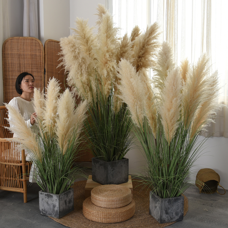 仿真绿植大蒲苇干花室内橱窗装饰