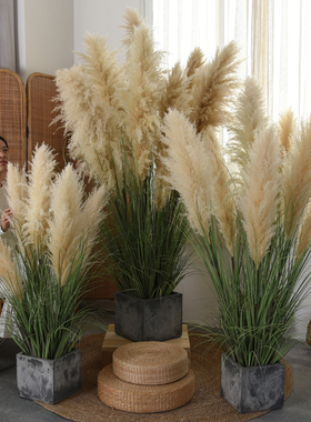 仿真绿植大蒲苇干花室内橱窗装饰
